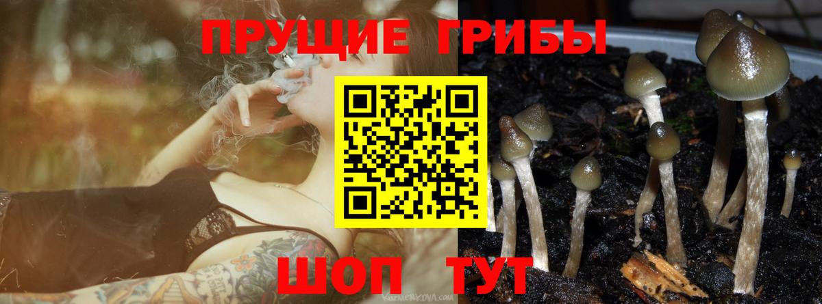 Псилоцибиновые грибы Magic Shrooms Белгород